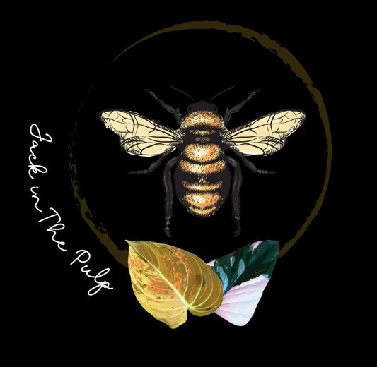 Jack In The Pulp sticker